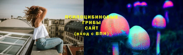 СК Богородск