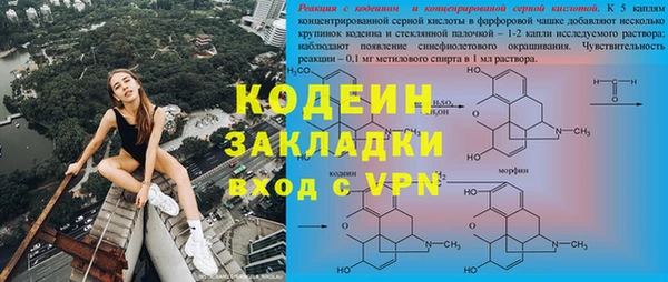 мдпв Богданович