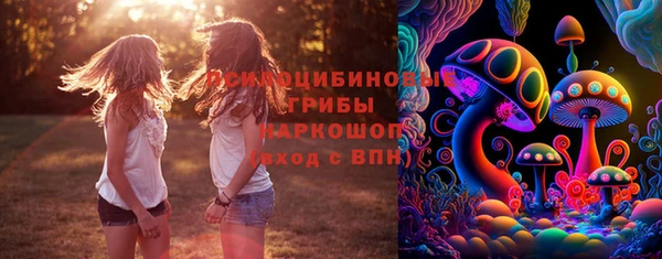 мдпв Богданович