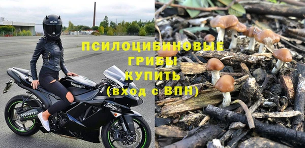 СК Богородск