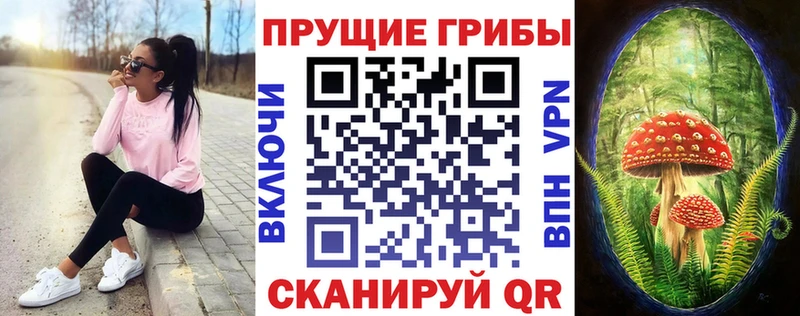 цена   Новошахтинск  omg рабочий сайт  Псилоцибиновые грибы Cubensis 